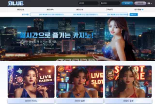 블루 보증업체